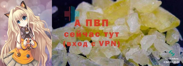 спиды Козловка