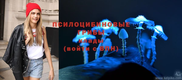 PSILOCYBIN Киреевск