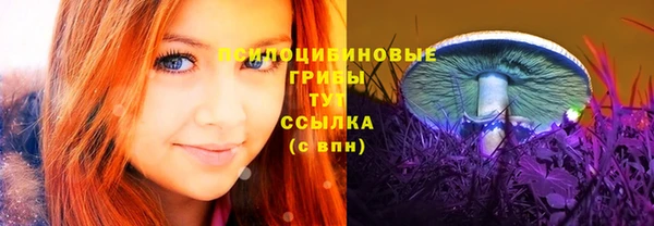 спиды Козловка