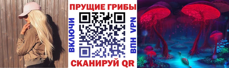 Псилоцибиновые грибы Psilocybine cubensis  Кирсанов 
