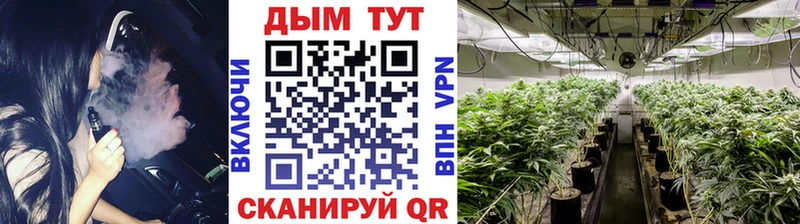 мориарти как зайти  Кирсанов  Шишки марихуана индика  kraken вход 